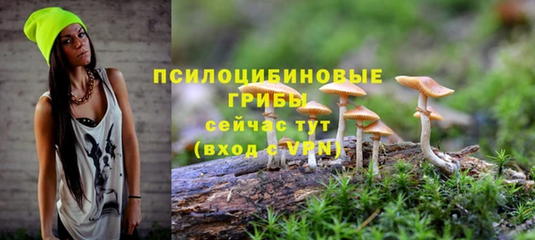 метамфетамин Белокуриха