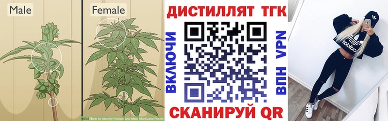 даркнет сайт  omg ТОР  Дистиллят ТГК вейп  Верхоянск 