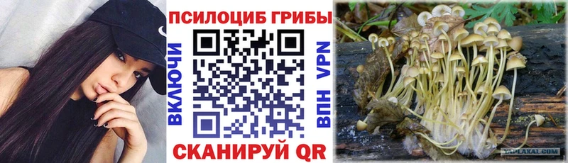 Псилоцибиновые грибы Psilocybe  Верхоянск 